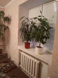 PHOTO-CRNGPRTK00010000-378699-98fa2386.jpg